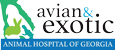 avian-exotic-animal-hospital-savannah