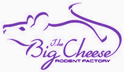 bigcheese